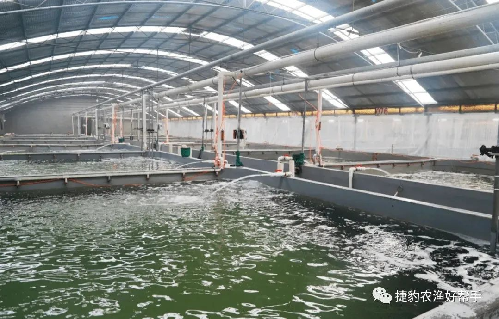 捷豹永磁离心增氧机震撼上市！农渔养殖业的好帮手